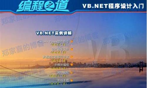 vb net 源码